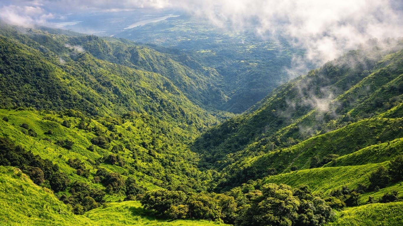 Benog Wildlife Sanctuary trail in Landour