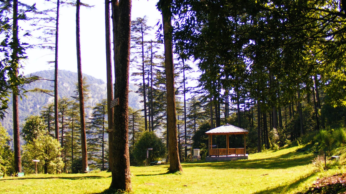 landscape in Dhanaulti