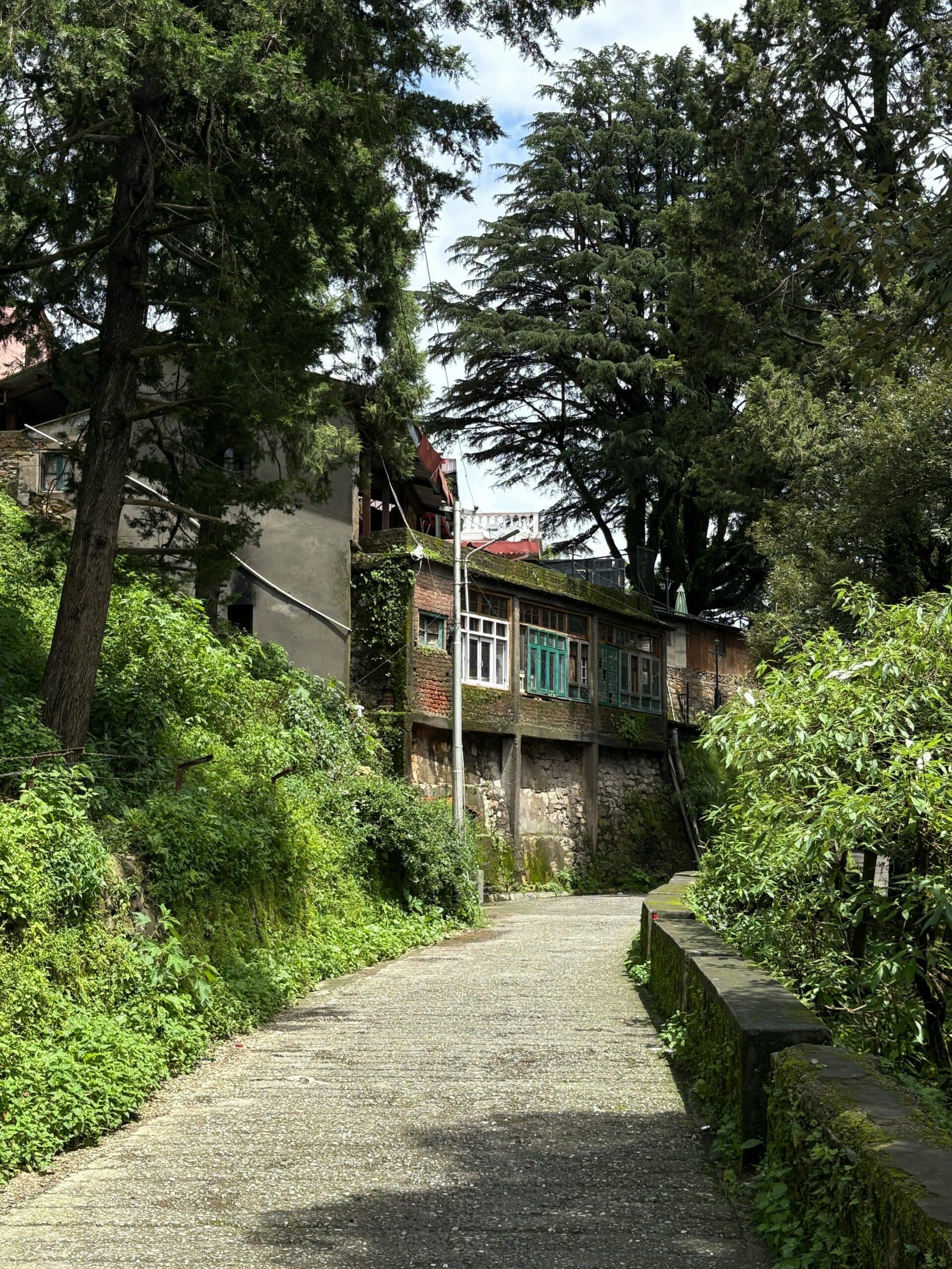 Camel Back Road Mussoorie